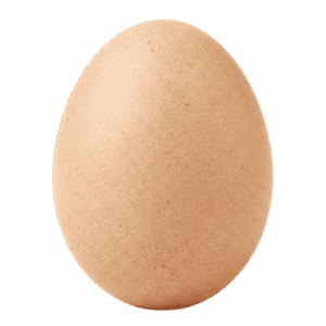 Sweater Egg