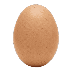 Albany Egg