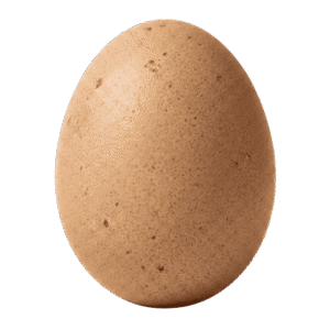 Hatch Egg