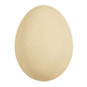Lemon 84 Egg