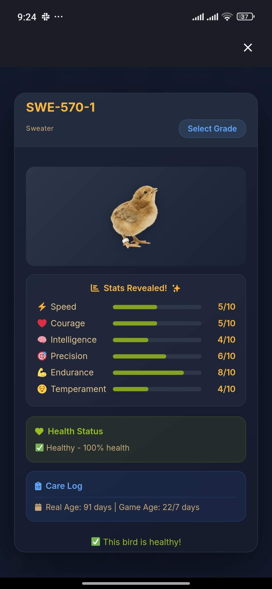 Screenshot — Chicken